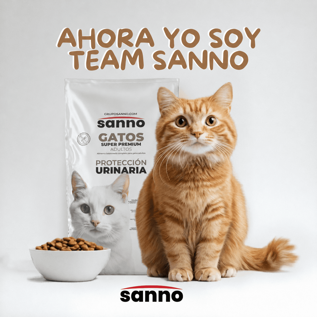 ALIMENTO GATO PROTECCIÓN URINARIA ADULTO 8KG